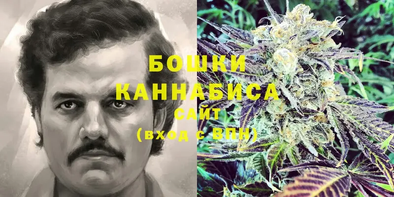 наркотики  Старица  Шишки марихуана LSD WEED 